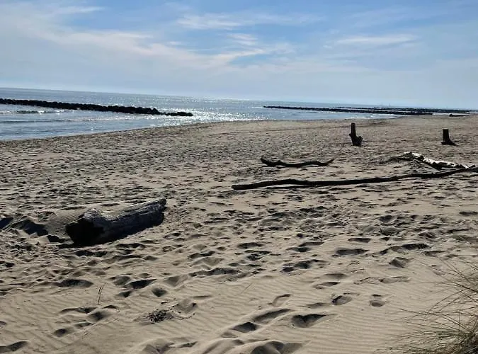 Superbe Studio, Terrasse, Piscine, Parking Apartmán Le Grau-du-Roi