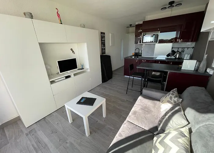 Superbe Studio, Terrasse, Piscine, Parking Apartament Le Grau-du-Roi